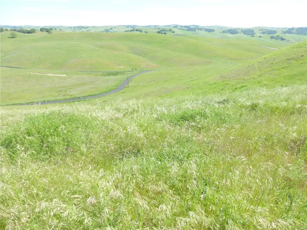 Douglas Rd. (Lot 33) San Miguel, CA 93451
