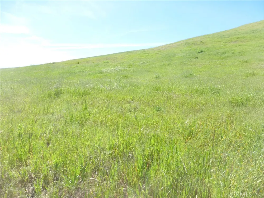 Douglas Rd. (Lot 33) San Miguel, CA 93451