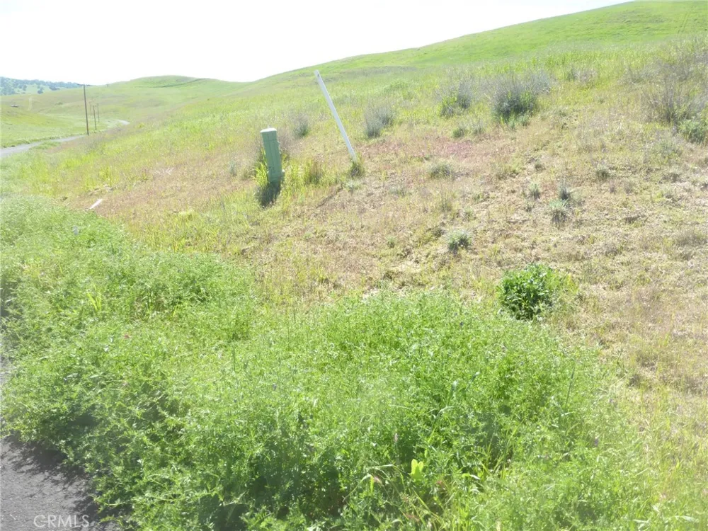 Douglas Rd. (Lot 33) San Miguel, CA 93451