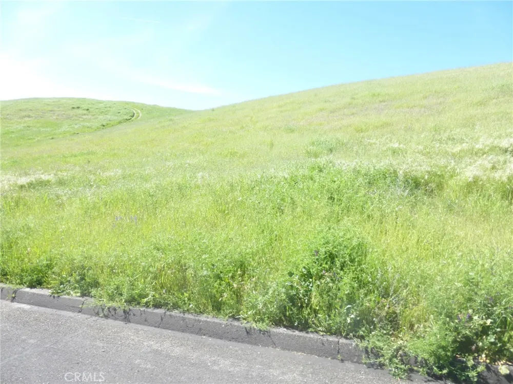 Douglas Rd. (Lot 28) San Miguel, CA 93451