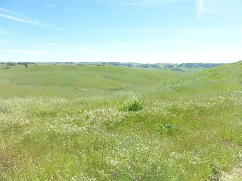 Douglas Rd. (Lot 28) San Miguel, CA 93451