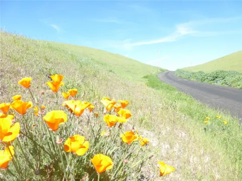 Douglas Rd. (Lot 28)