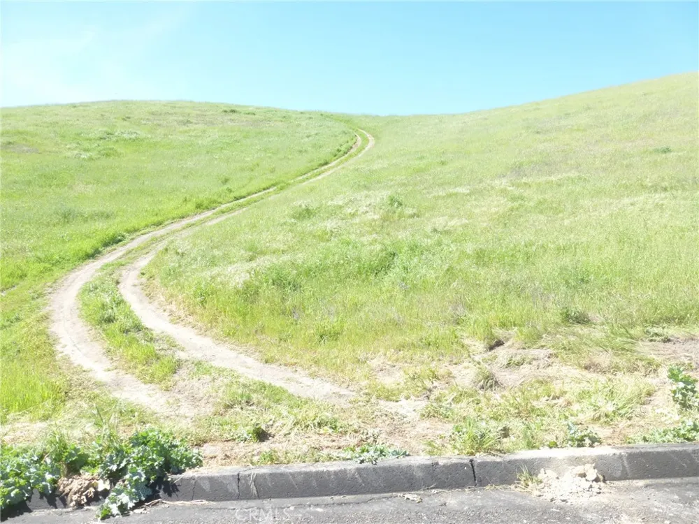 Douglas Rd. (Lot 28) San Miguel, CA 93451