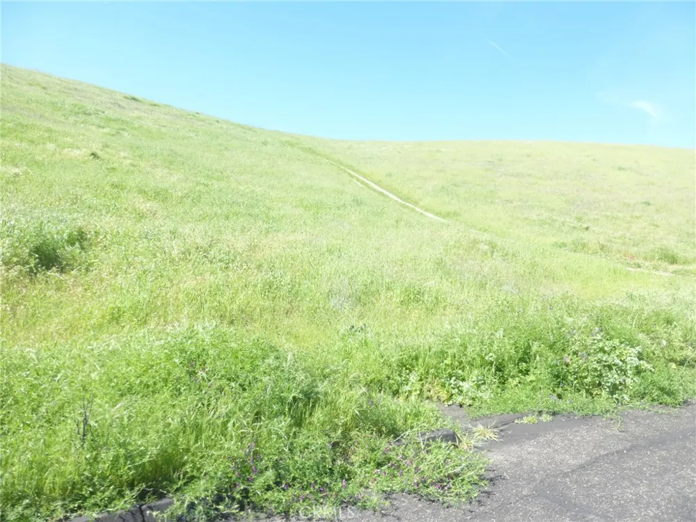 Douglas Rd. (Lot 28) San Miguel, CA 93451