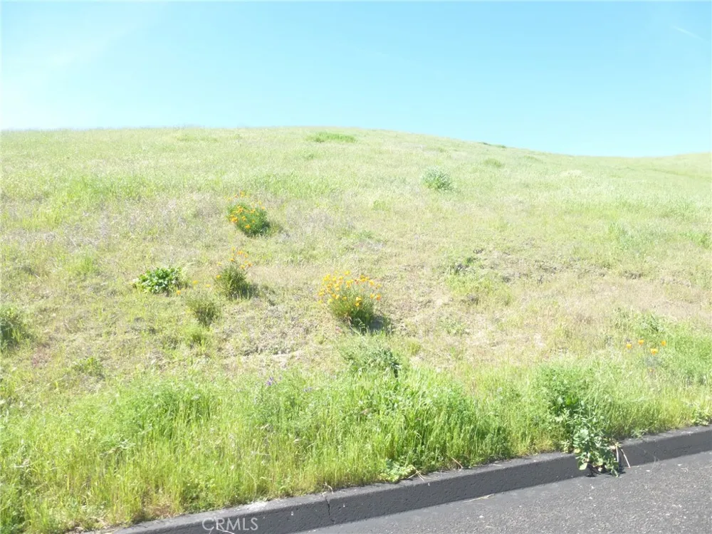 Douglas Rd. (Lot 28) San Miguel, CA 93451
