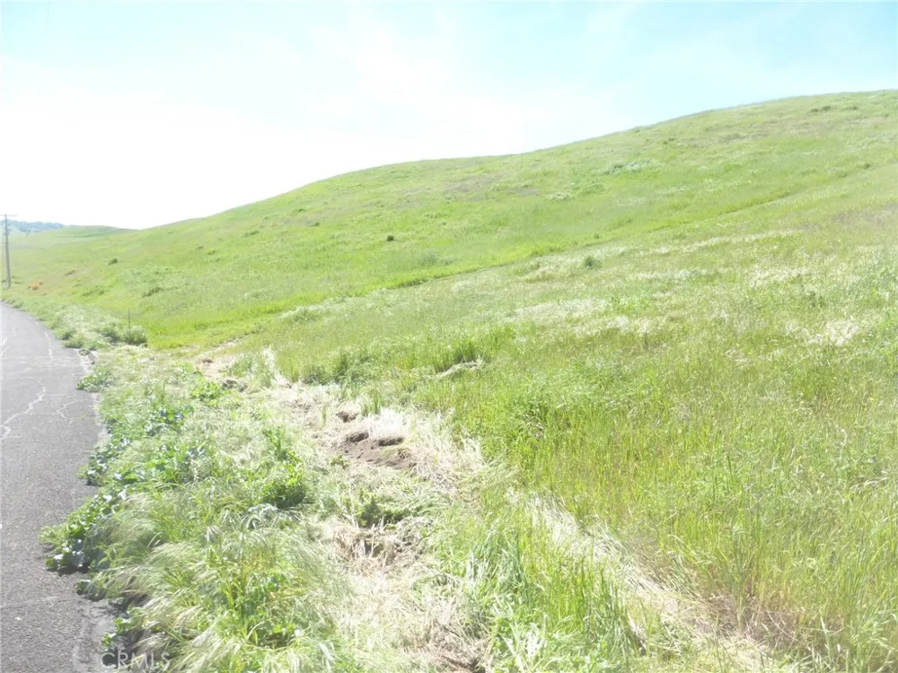 Douglas Rd. (Lot 28) San Miguel, CA 93451