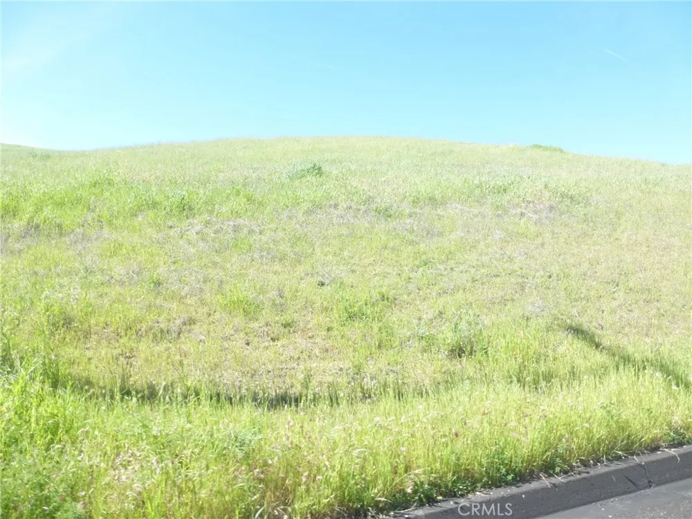 Douglas Rd. (Lot 28) San Miguel, CA 93451