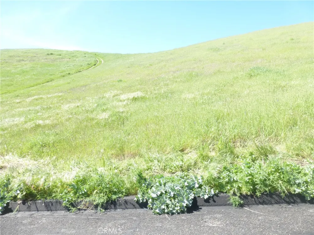 Douglas Rd. (Lot 28) San Miguel, CA 93451