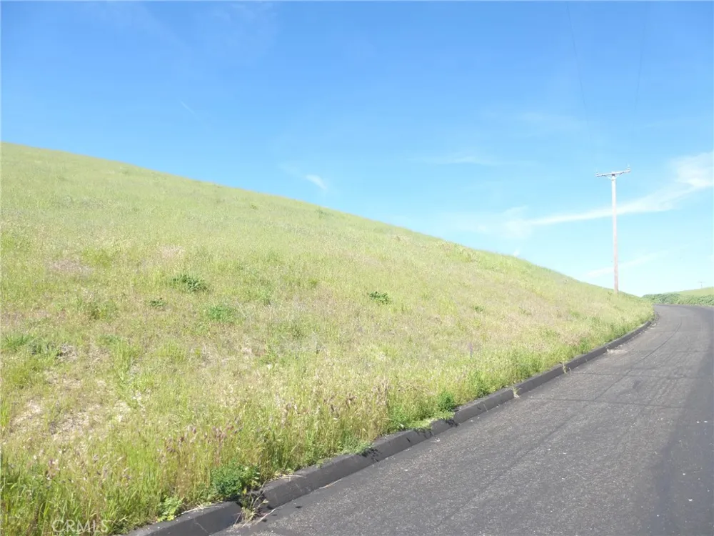 Douglas Rd. (Lot 28) San Miguel, CA 93451