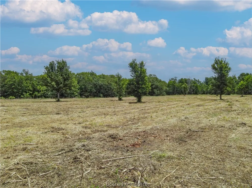 HWY 36 S Lyons, TX 77863