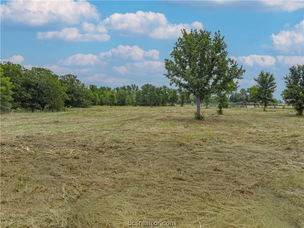 HWY 36 S Lyons, TX 77863