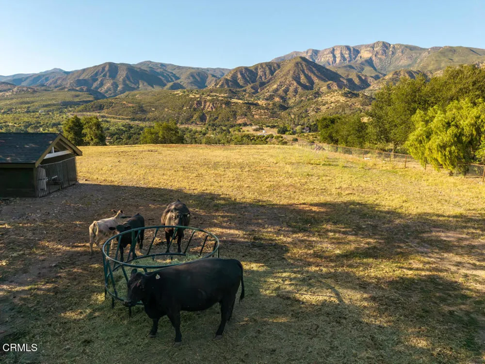 13100 Ojai Road Santa Paula, CA 93060