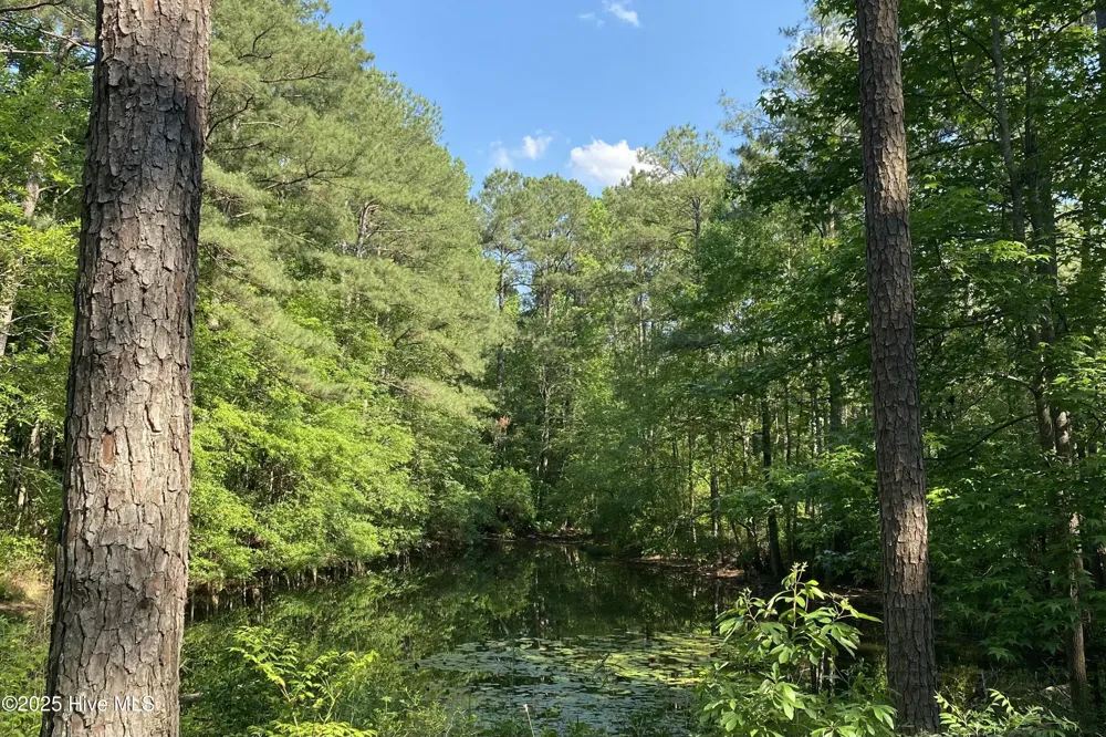 979 Aiken Road Vass, NC 28394