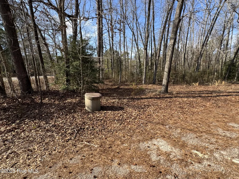 979 Aiken Road Vass, NC 28394