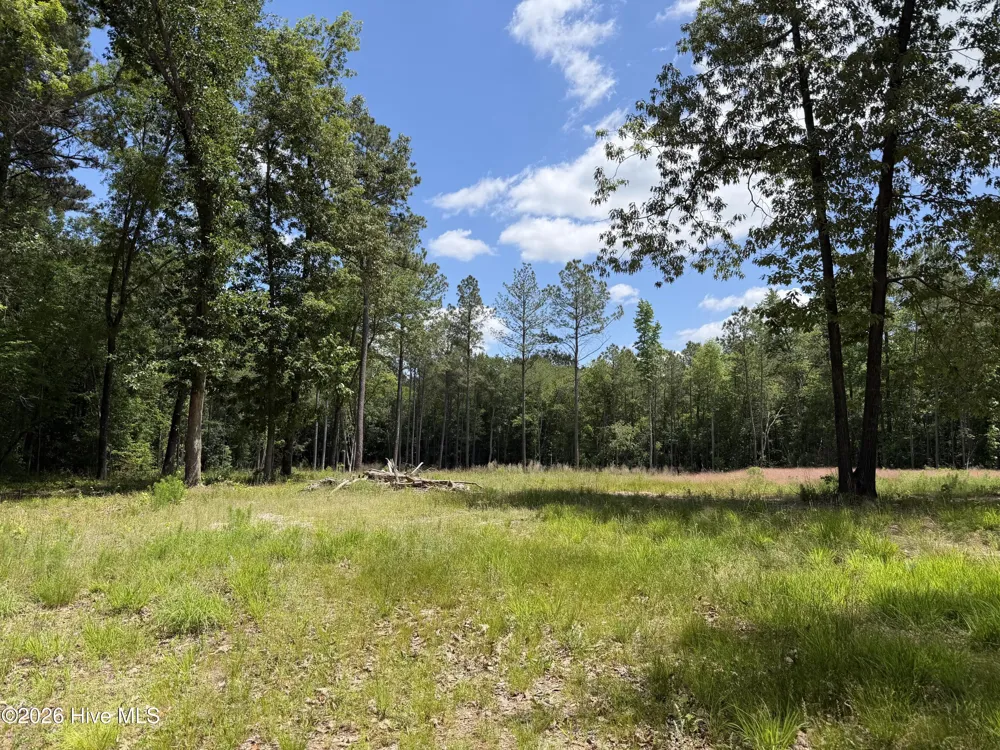 979 Aiken Road Vass, NC 28394