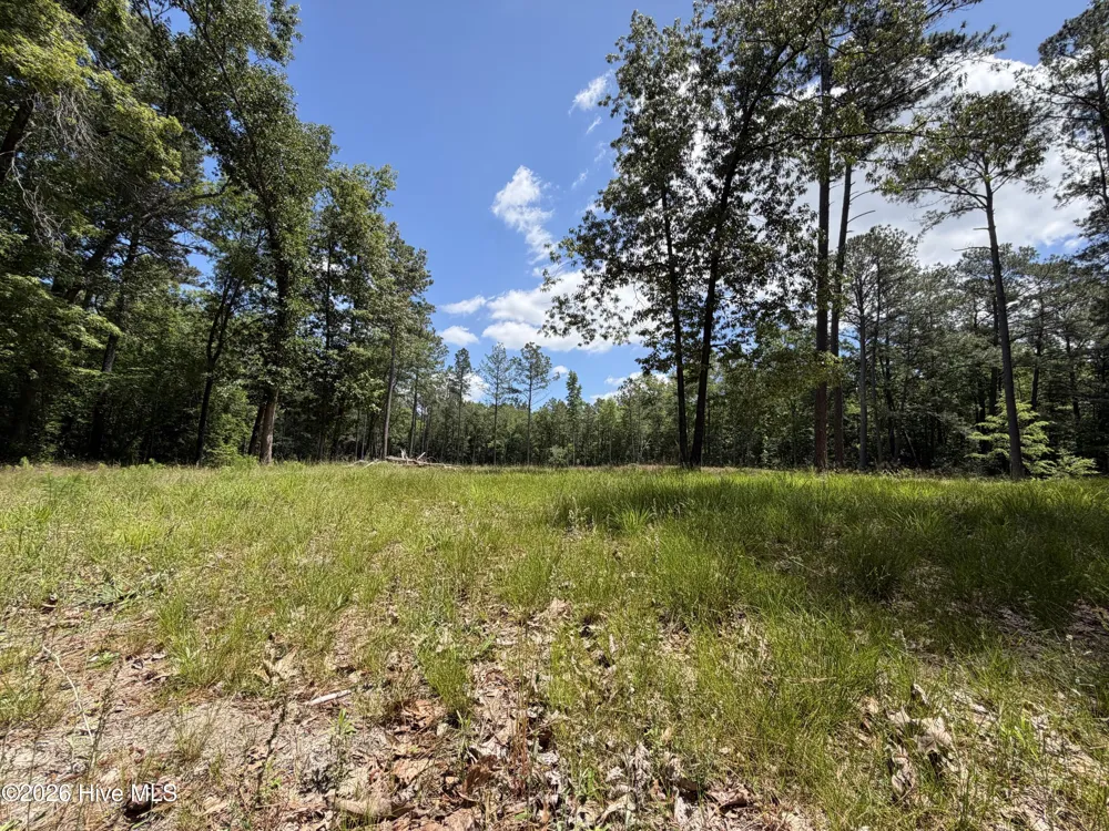979 Aiken Road Vass, NC 28394