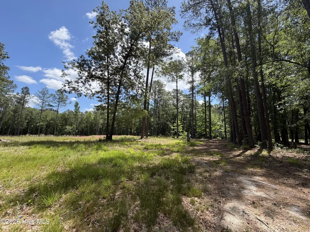 979 Aiken Road Vass, NC 28394