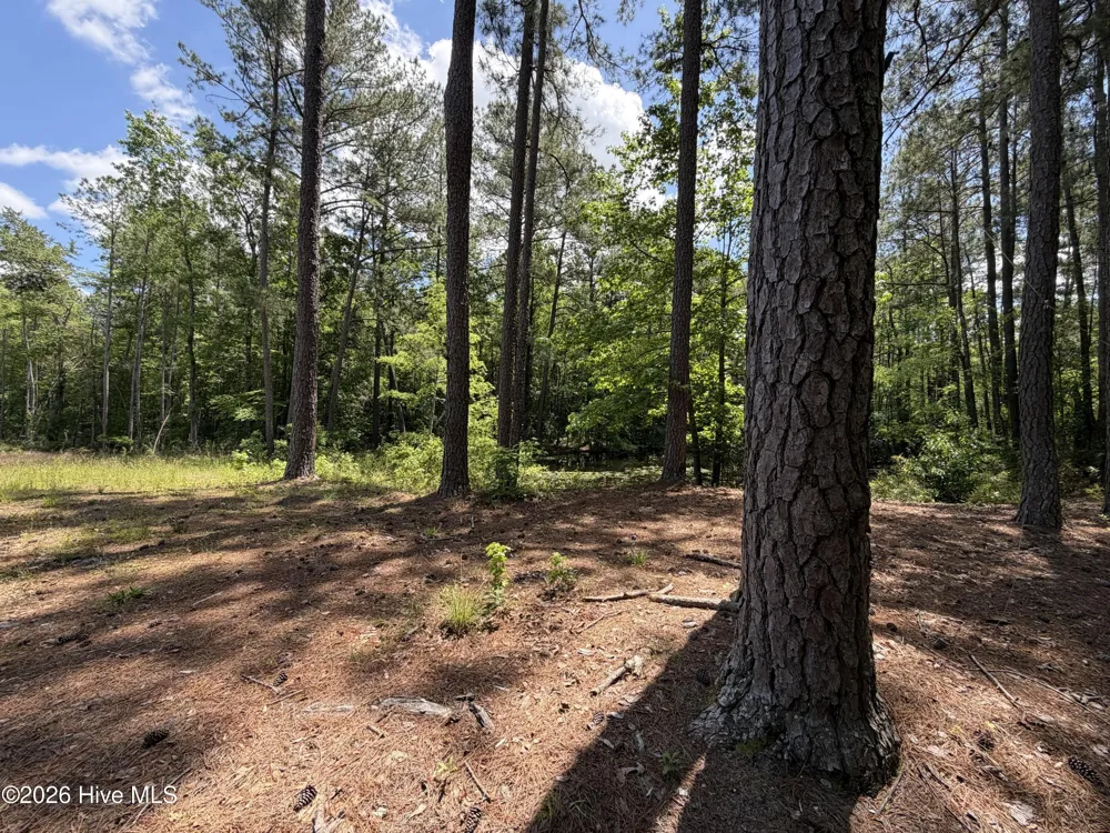 979 Aiken Road Vass, NC 28394