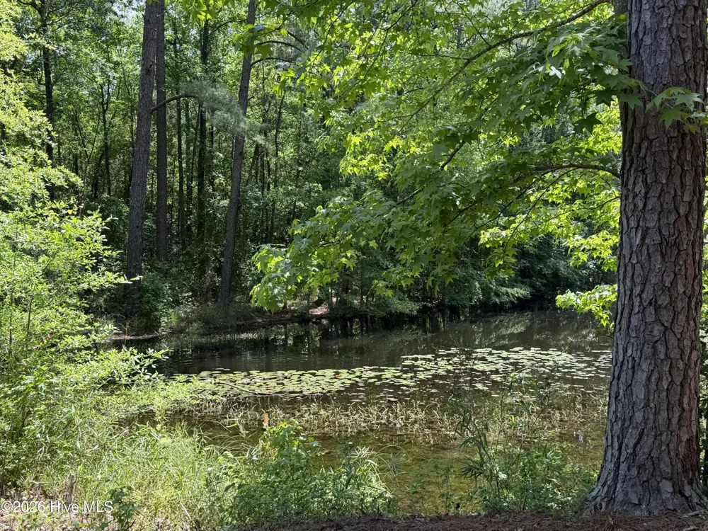 979 Aiken Road Vass, NC 28394