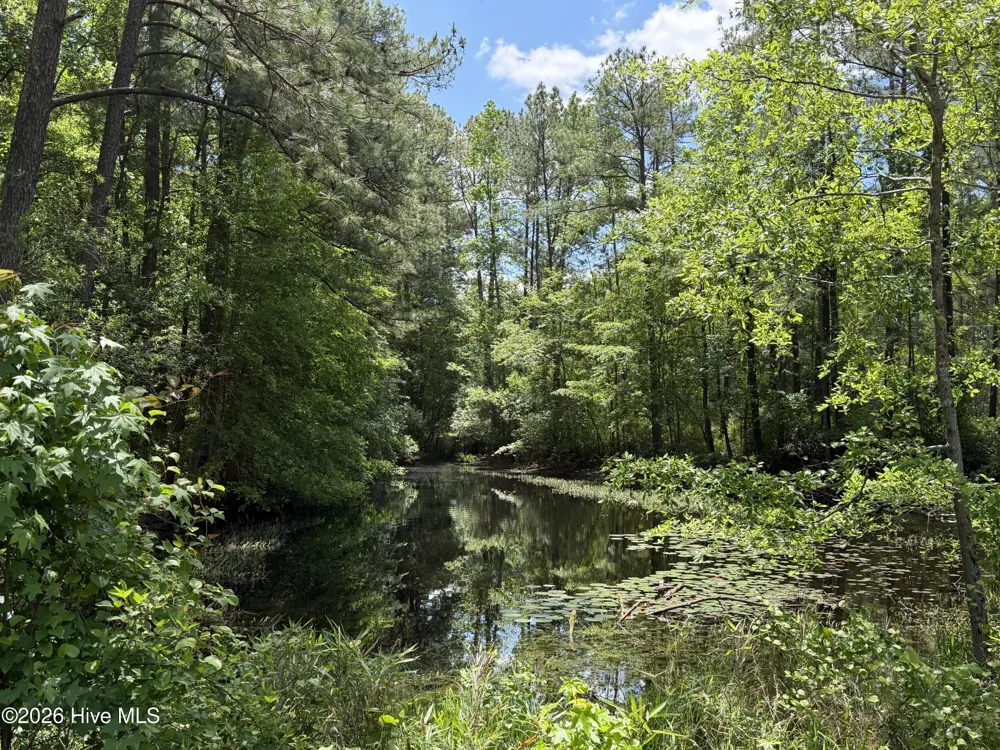 979 Aiken Road Vass, NC 28394