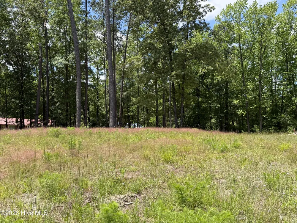979 Aiken Road Vass, NC 28394