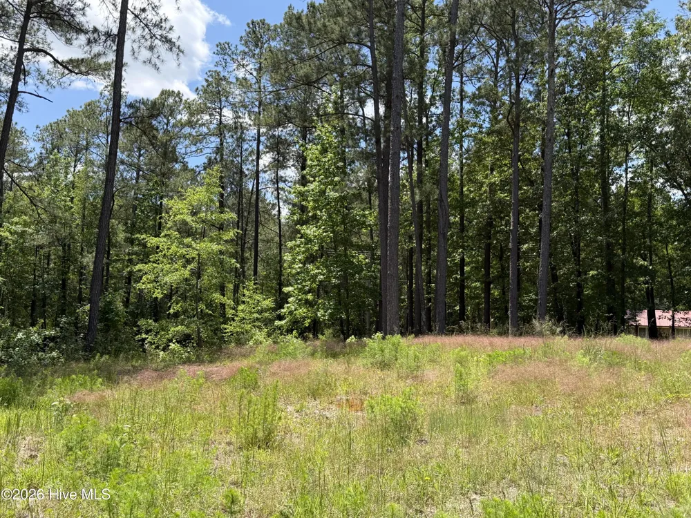 979 Aiken Road Vass, NC 28394