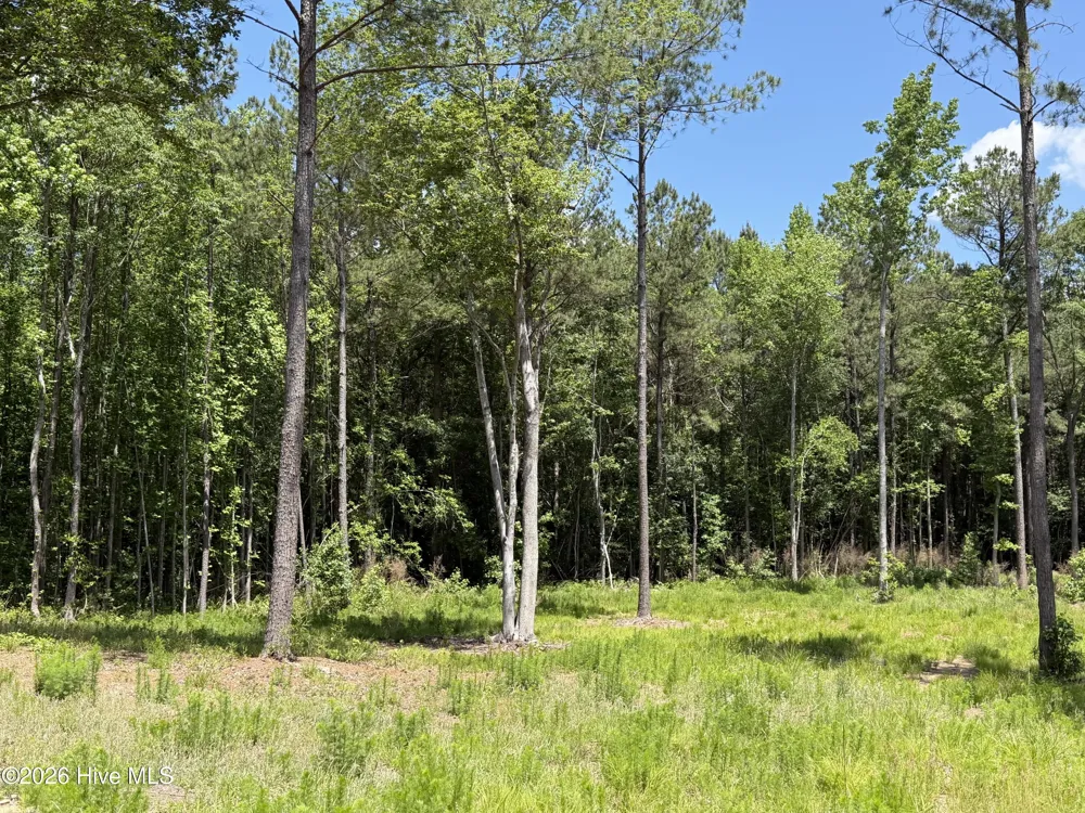 979 Aiken Road Vass, NC 28394