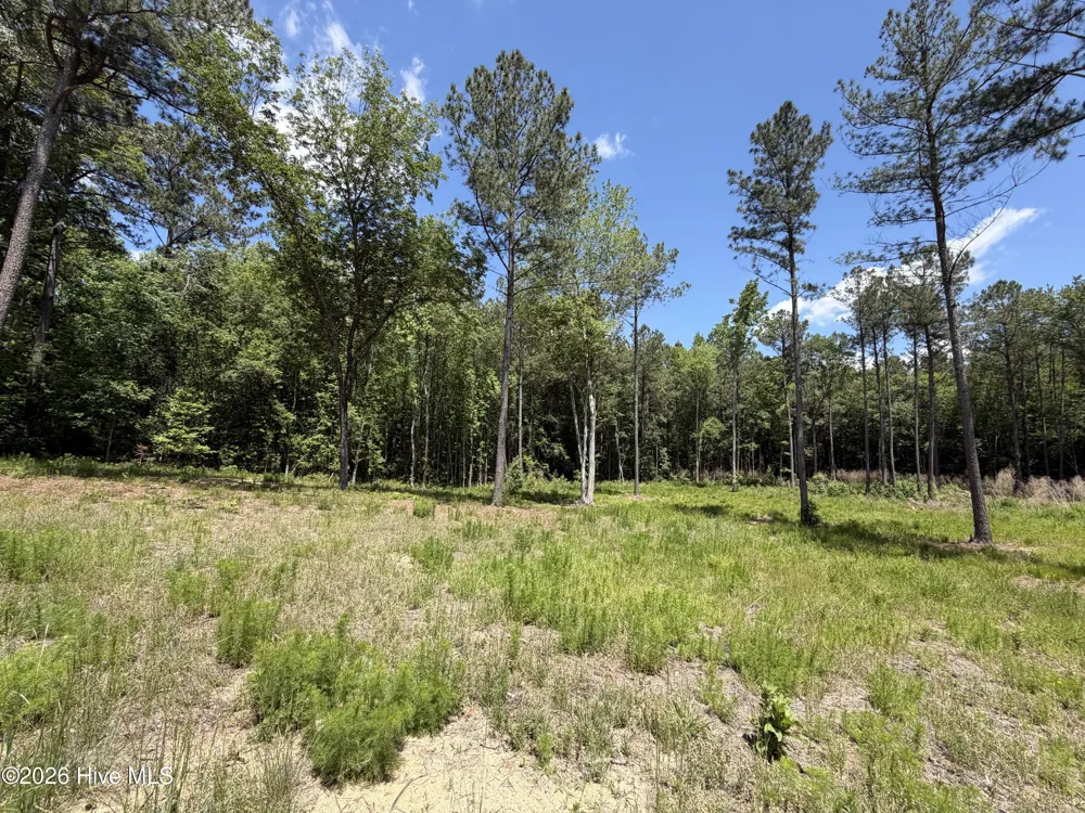 979 Aiken Road Vass, NC 28394