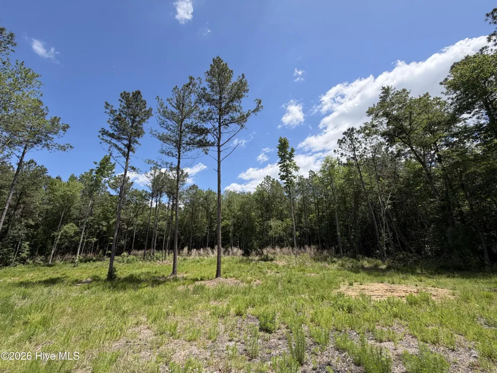 979 Aiken Road Vass, NC 28394
