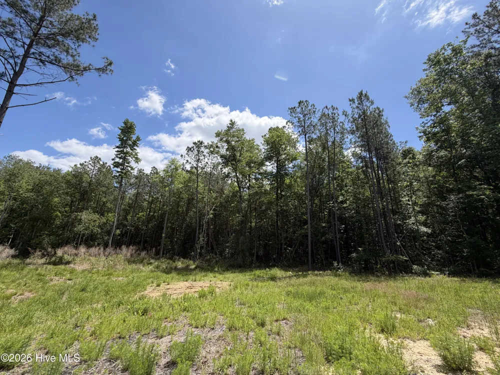 979 Aiken Road Vass, NC 28394