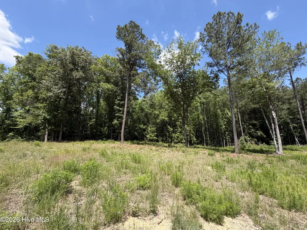979 Aiken Road Vass, NC 28394