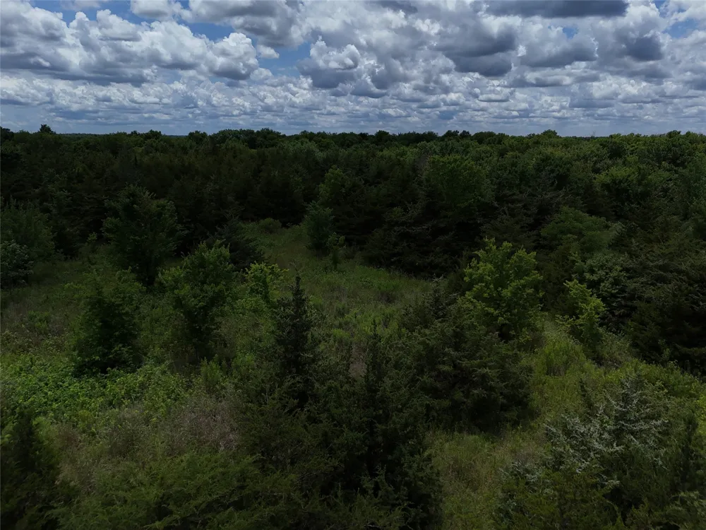 203 FM 2675 Enloe, TX 75432