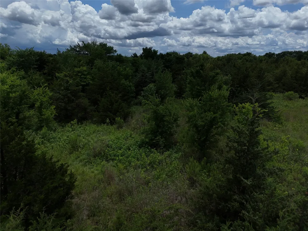203 FM 2675 Enloe, TX 75432
