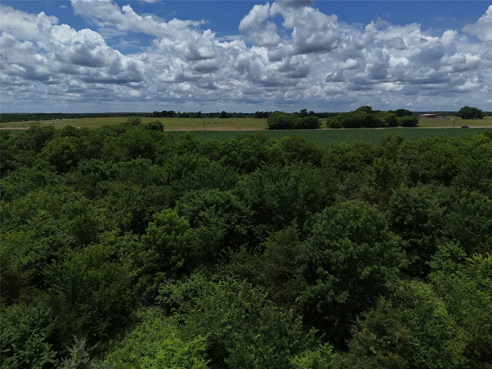 203 FM 2675 Enloe, TX 75432