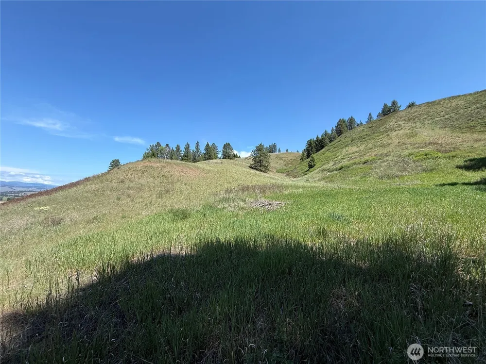 0 Art Creek Road Malo, WA 99150