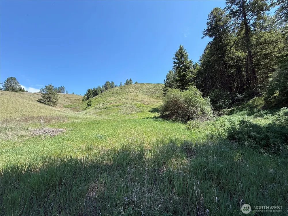 0 Art Creek Road Malo, WA 99150