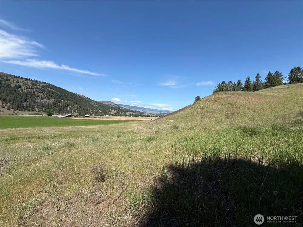 0 Art Creek Road Malo, WA 99150