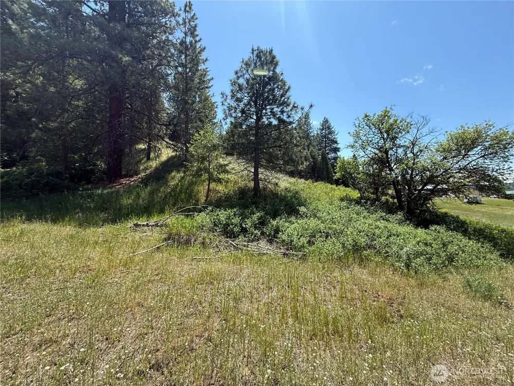 0 Art Creek Road Malo, WA 99150