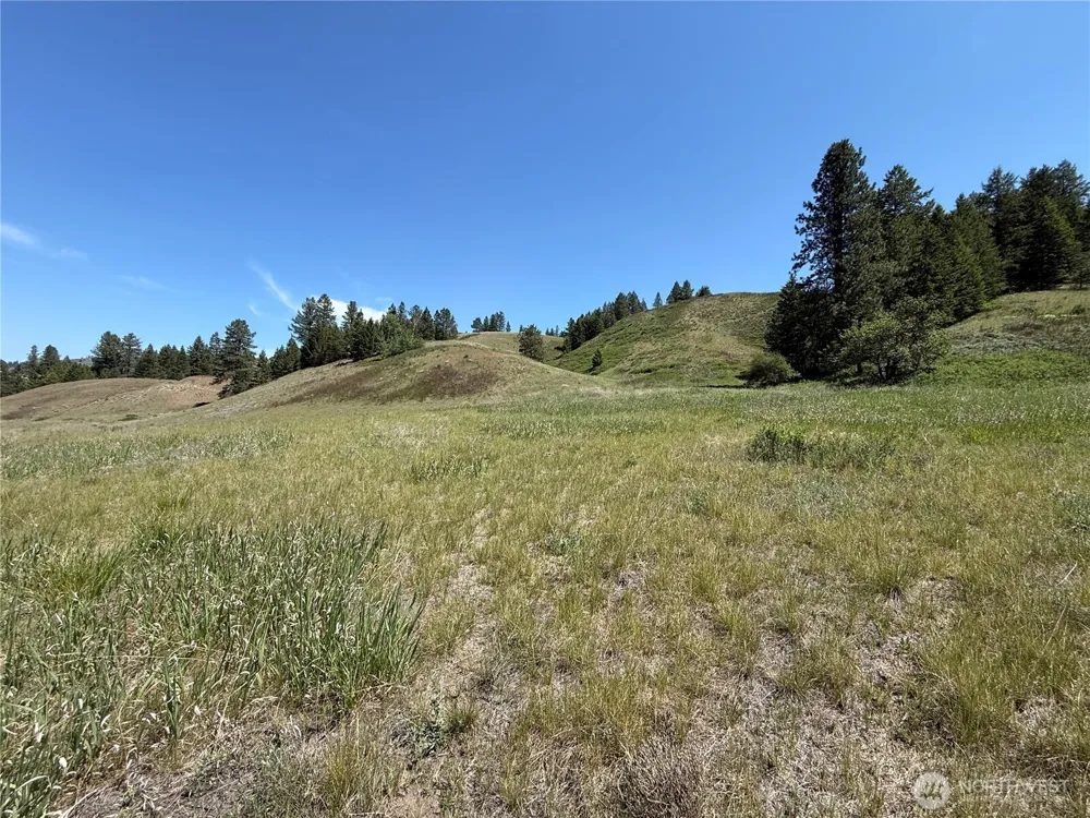 0 Art Creek Road Malo, WA 99150