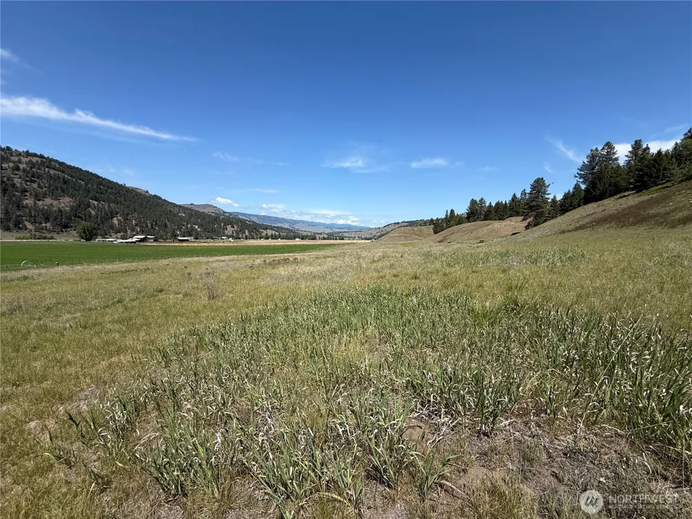 0 Art Creek Road Malo, WA 99150