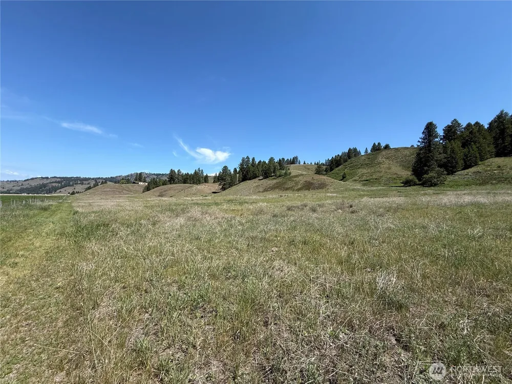 0 Art Creek Road Malo, WA 99150