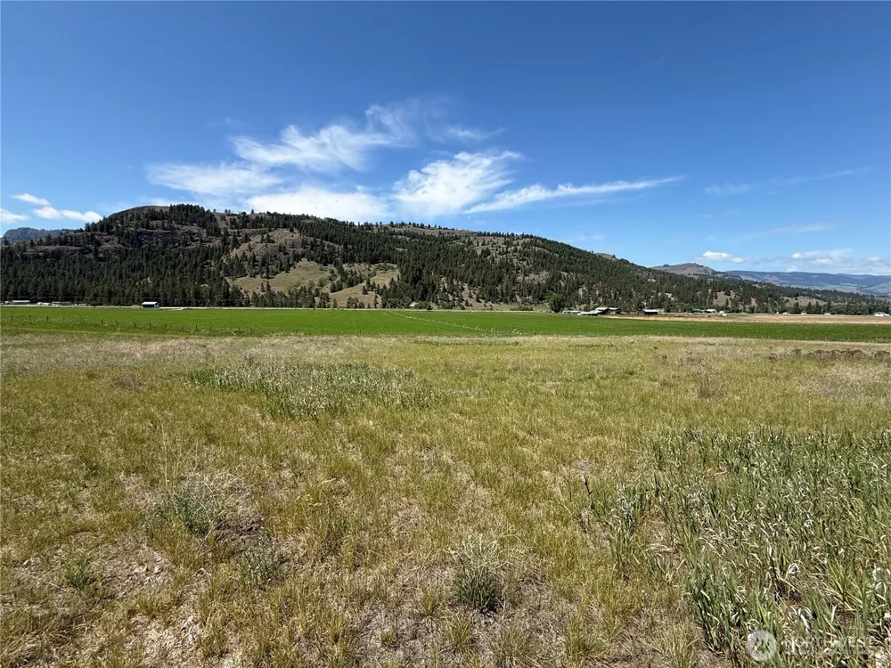0 Art Creek Road Malo, WA 99150