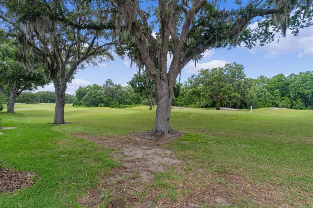 9429 SAN MIGUEL Howey In The Hills, FL 34737