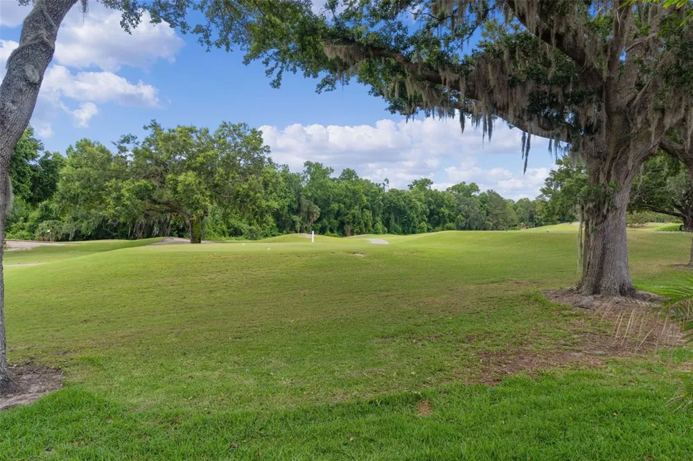 9429 SAN MIGUEL Howey In The Hills, FL 34737