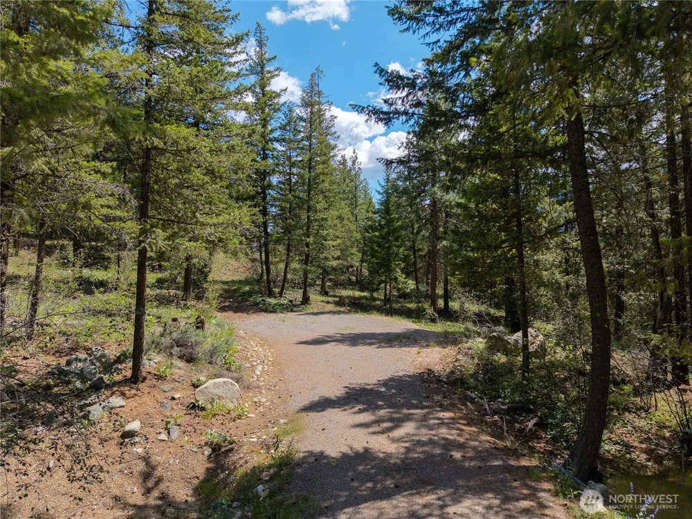 6 Homestead Road Winthrop, WA 98862
