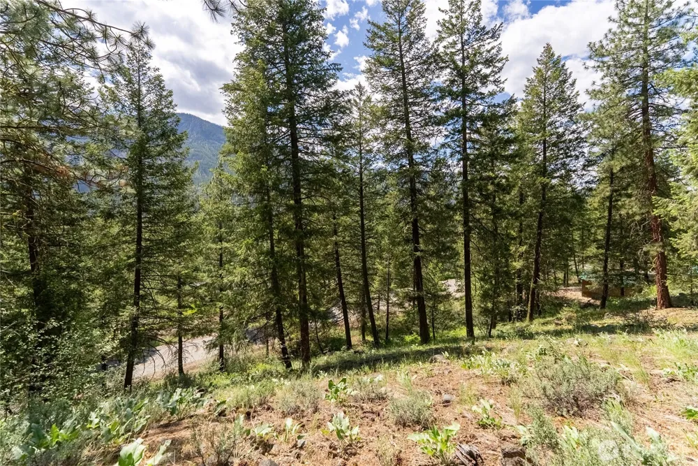 6 Homestead Road Winthrop, WA 98862