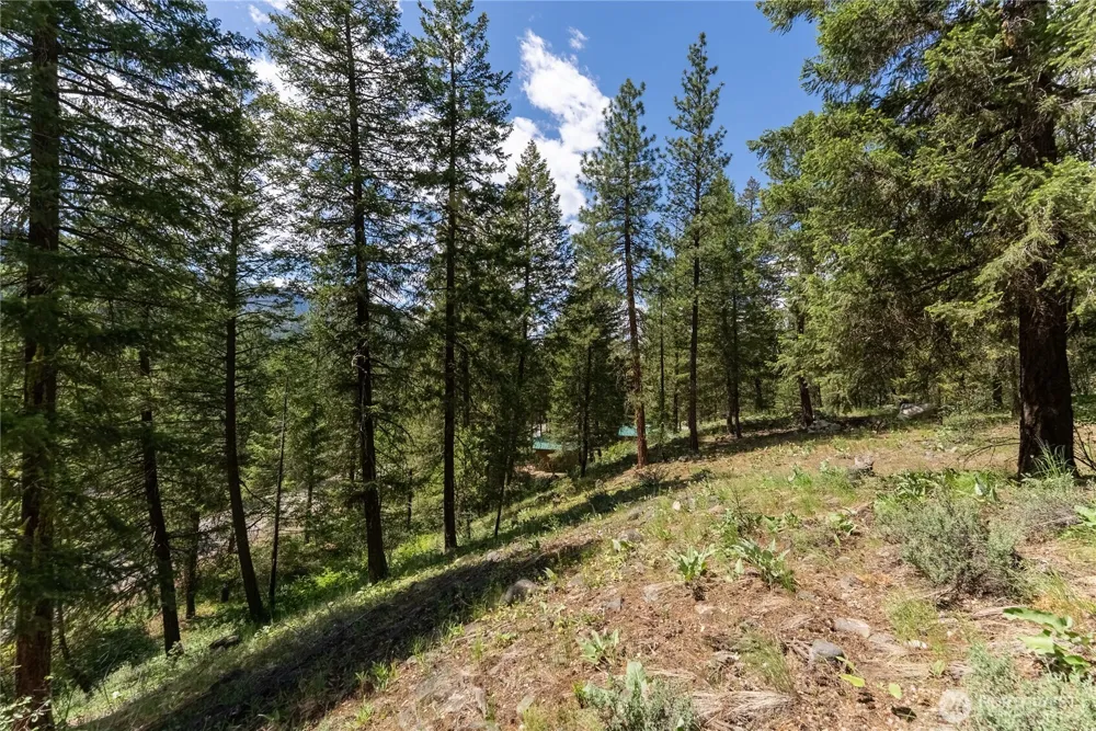 6 Homestead Road Winthrop, WA 98862
