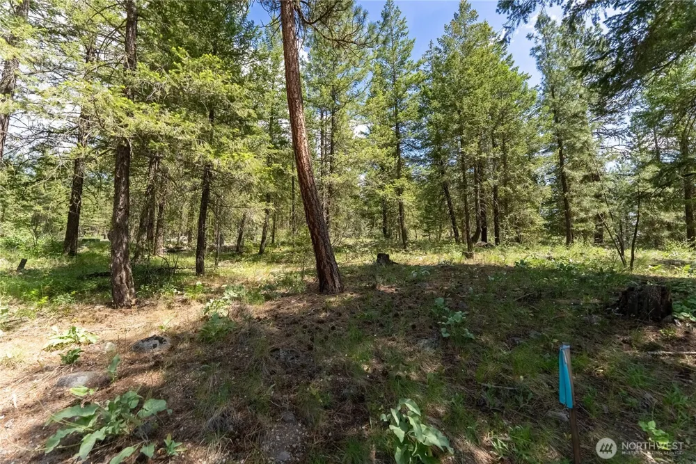 6 Homestead Road Winthrop, WA 98862
