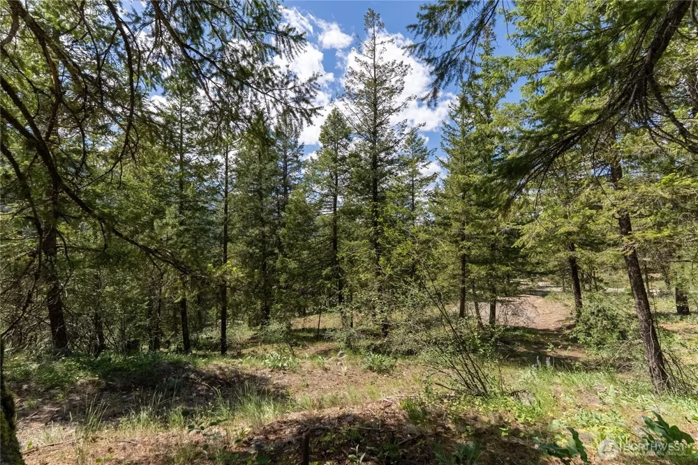 6 Homestead Road Winthrop, WA 98862