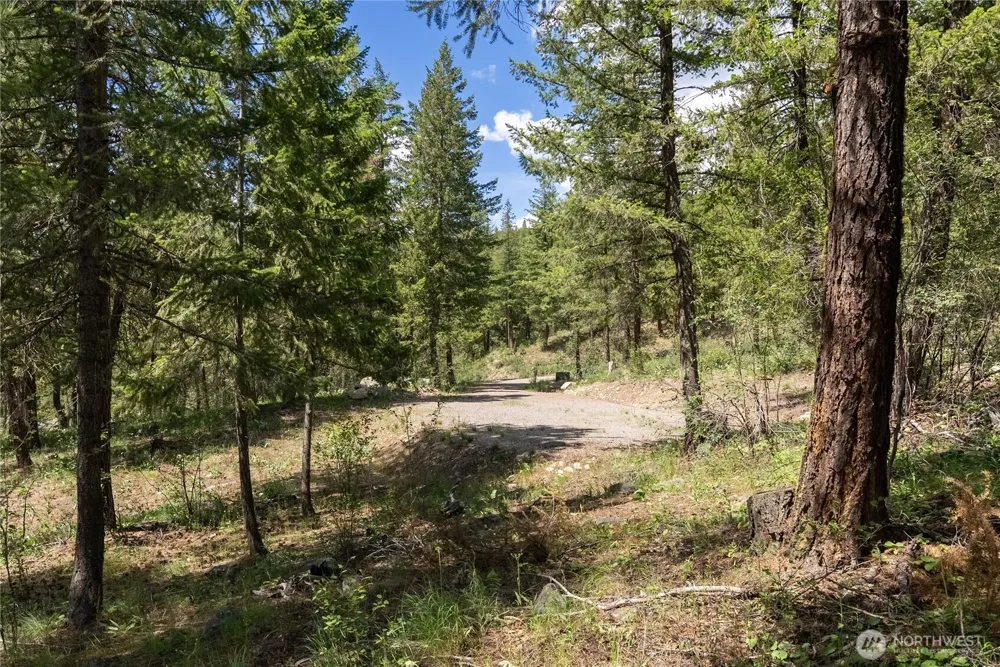 6 Homestead Road Winthrop, WA 98862